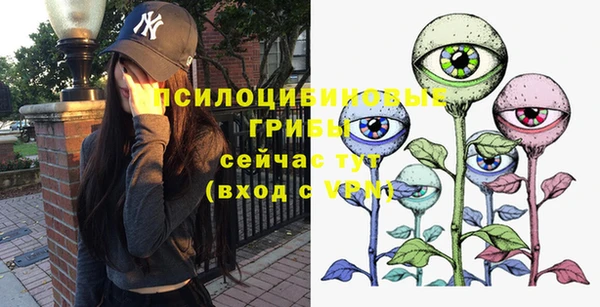 ALPHA PVP Белокуриха