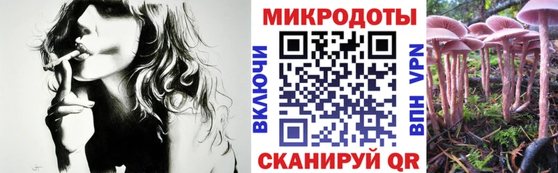 Галлюциногенные грибы Magic Shrooms  как найти закладки  Видное 
