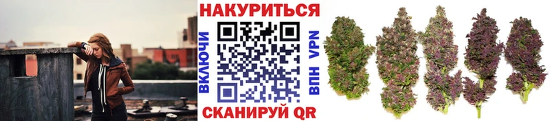 МАРИХУАНА MAZAR Видное